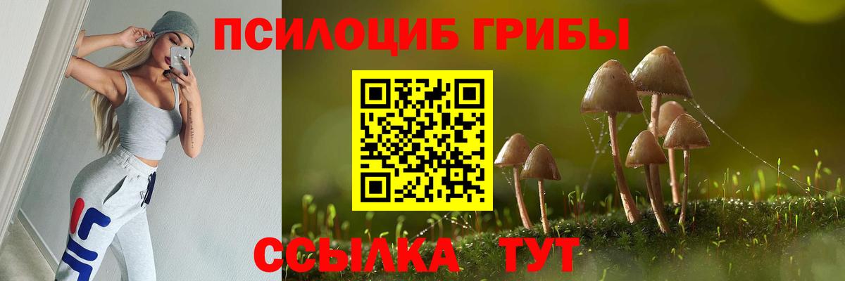 Галлюциногенные грибы прущие грибы  закладка  Лыткарино  Вход с VPN 